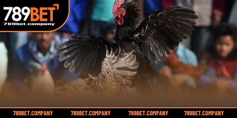 Lý do khiến sảnh AOG luôn nằm trong top lựa chọn hàng đầu