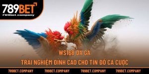 WS168 Đá Gà – Trải Nghiệm Đỉnh Cao Cho Tín Đồ Cá Cược