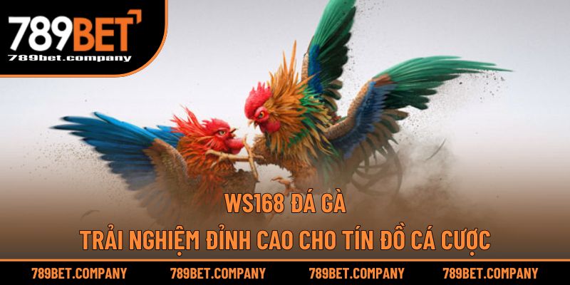 WS168 Đá Gà – Trải Nghiệm Đỉnh Cao Cho Tín Đồ Cá Cược 1 WS168 Đá Gà – Trải Nghiệm Đỉnh Cao Cho Tín Đồ Cá Cược